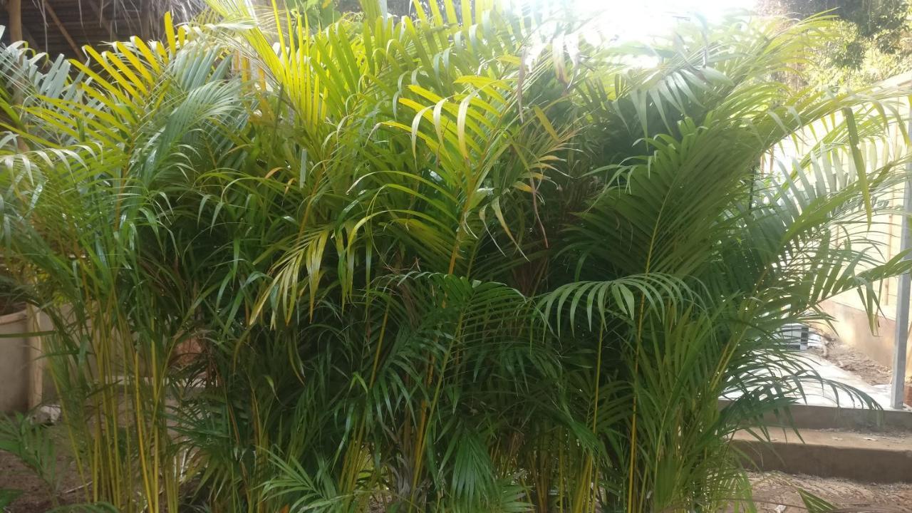 פאלולם Kings Villa Resort מראה חיצוני תמונה